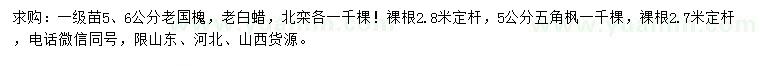 求購國槐、白蠟、北欒等