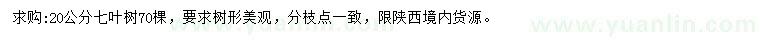 求購20公分七葉樹