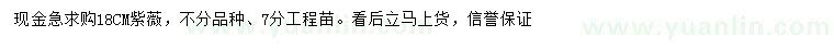 求購18公分紫薇