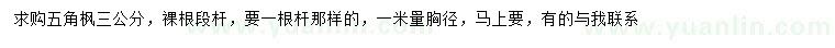 求購1米量3公分五角楓
