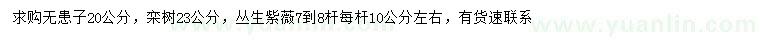 求購無患子、欒樹、叢生紫薇
