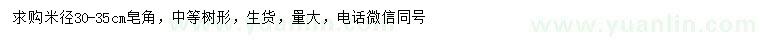 求購米徑30-35公分皂角