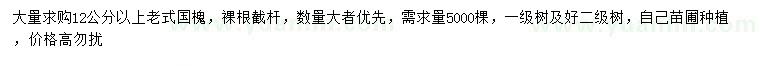 求購12公分以上老式國槐
