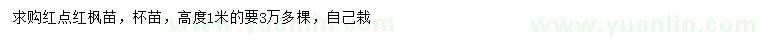 求購(gòu)高1米紅點(diǎn)紅楓