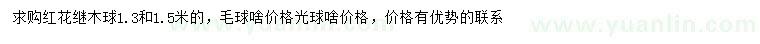 求購1.3、1.5米紅花繼木球