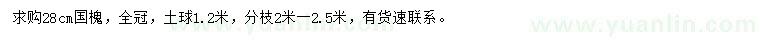 求購28公分國槐