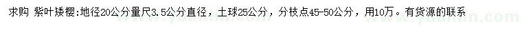 求購20量3.5公分紫葉矮櫻