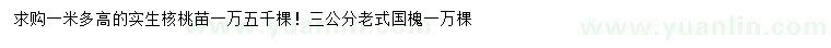 求購(gòu)高1米以上實(shí)生核桃苗、3公分老式國(guó)槐