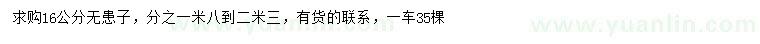 求購16公分無患子