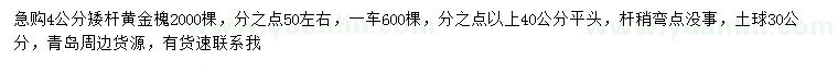 求購4公分黃金槐