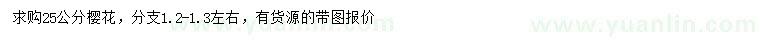 求購25公分櫻花