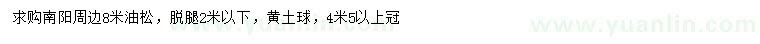 求購8米油松
