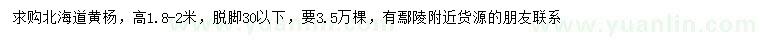 求購高1.8-2米北海道黃楊