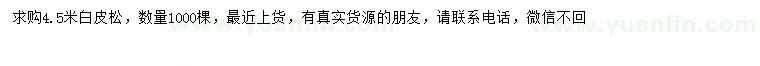 求購(gòu)4.5米白皮松
