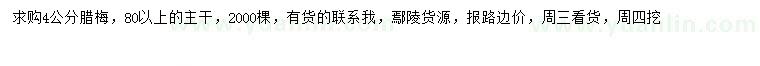 求購4公分臘梅