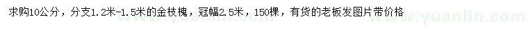 求購10公分金枝槐