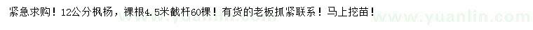 求購12公分楓楊