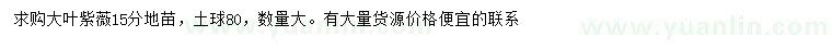 求購15公分大葉紫薇