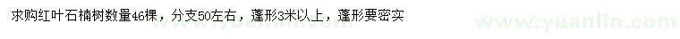 求購冠幅3米以上紅葉石楠