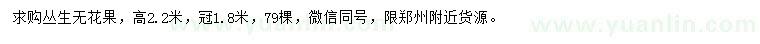 求購(gòu)高2.2米叢生無(wú)花果