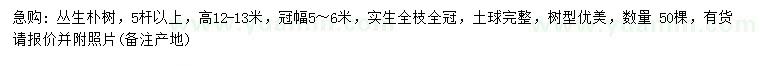 求購高12-13米叢生樸樹