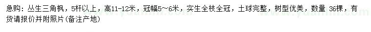 求購(gòu)高11-12米叢生三角楓