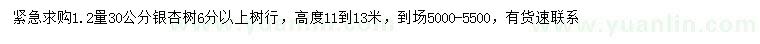 求購1.2米量30公分銀杏
