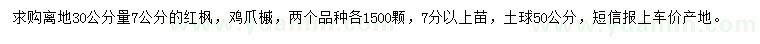 求購30量7公分紅楓、雞爪槭