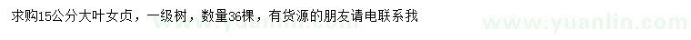 求購15公分大葉女貞