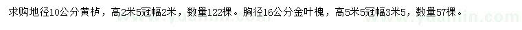 求購(gòu)地徑10公分黃櫨、胸徑16公分金葉槐