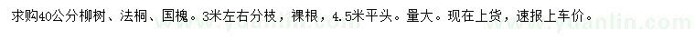求購柳樹、法桐、國槐