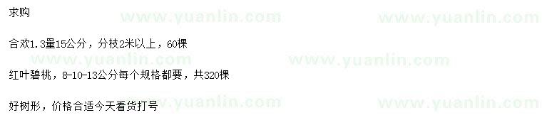 求購(gòu)1.3米量15公分合歡、8、10、13公分紅葉碧桃
