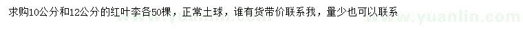 求購10、12公分紅葉李