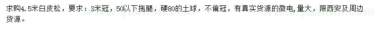 求購4.5米白皮松