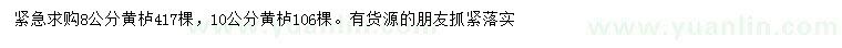 求購(gòu)8、10公分黃櫨