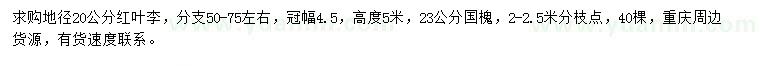 求購地徑20公分紅葉李、23公分國槐