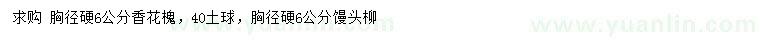 求購胸徑6公分香花槐、饅頭柳