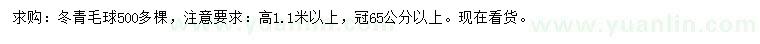 求購(gòu)高1.1米以上冬青球