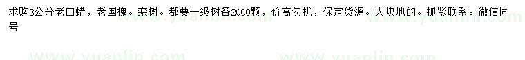 求購老白蠟、老國槐、欒樹