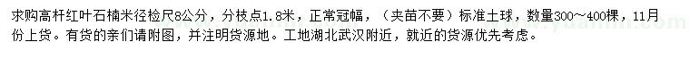 求購(gòu)米徑8公分高桿紅葉石楠