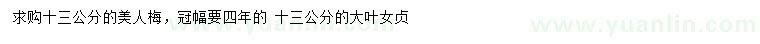 求購(gòu)13公分美人梅、大葉女貞