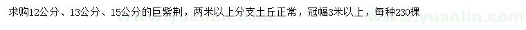 求購(gòu)12、13、15公分巨紫荊