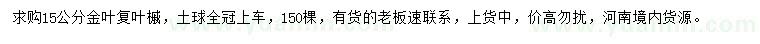 求購15公分金葉復(fù)葉槭