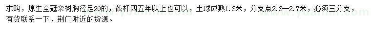求購胸徑20公分欒樹