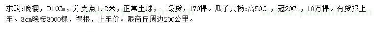求購3、11公分晚櫻、高50公分瓜子黃楊