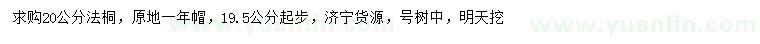 求購19.5公分以上法桐