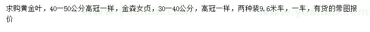 求購高40-50公分黃金葉、高30-40公分金森女貞