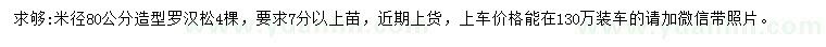 求購米徑80公分造型羅漢松