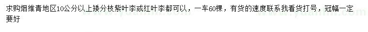 求購10公分以上紫葉李、紅葉李
