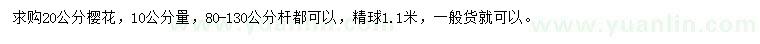 求購10公分量20公分櫻花